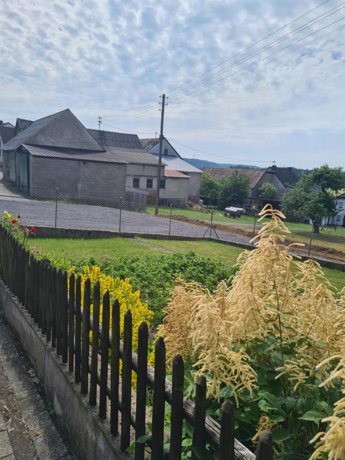 Pension Larifari Drees 外观 照片